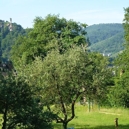 Feriendomizil Im Plantert Leilighet Traben-Trarbach Eksteriør bilde